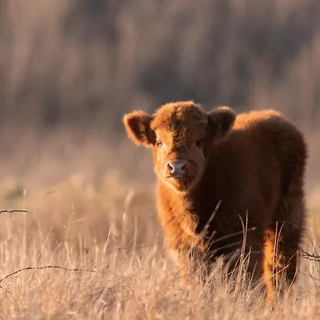 Grand Beatrix 4* Den Helder