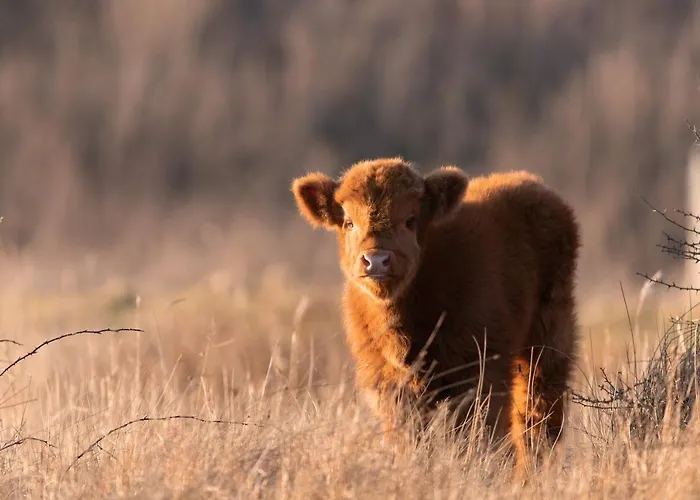 Grand Beatrix 4* Den Helder